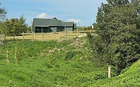 Holly Tree Glamping Cabins